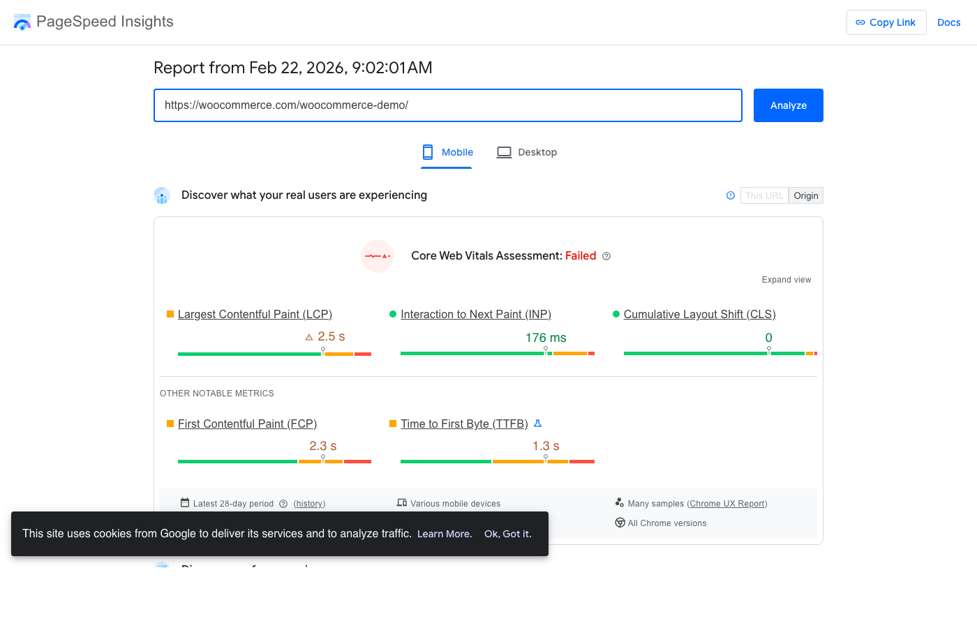 Google PageSpeed Insights showing a typical slow WooCommerce score before optimisation